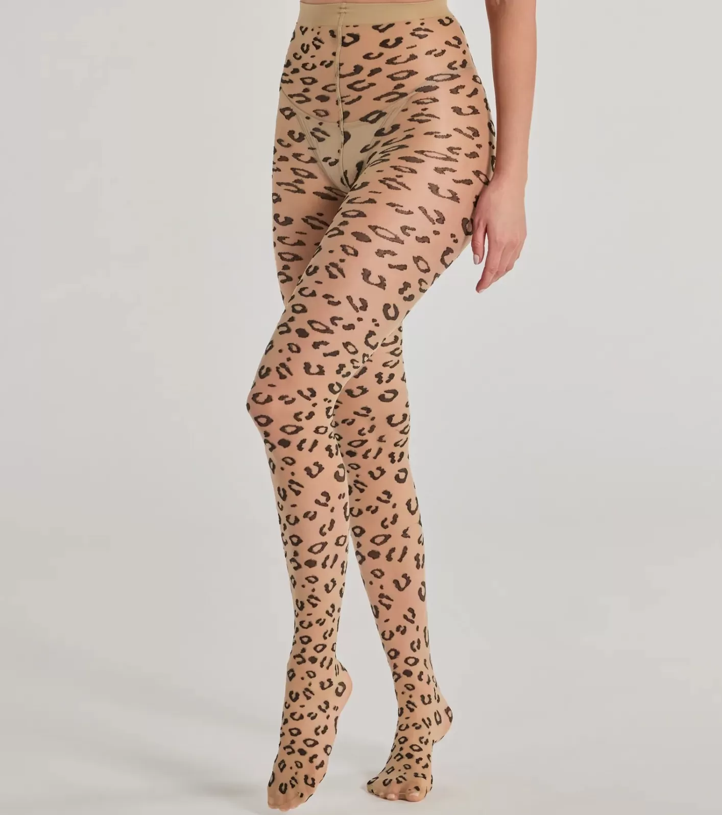 Windsor Fierce And Sultry Flocked Sheer Tights LEOPARD Fashion