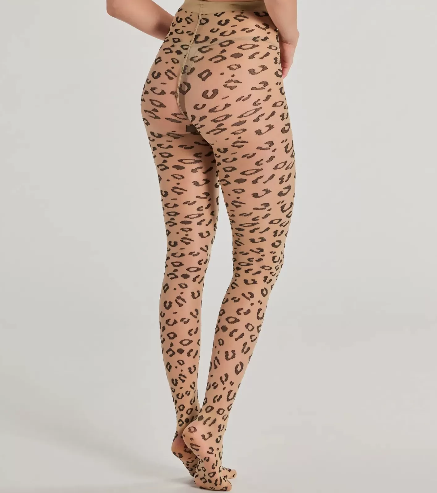 Windsor Fierce And Sultry Flocked Sheer Tights LEOPARD Fashion