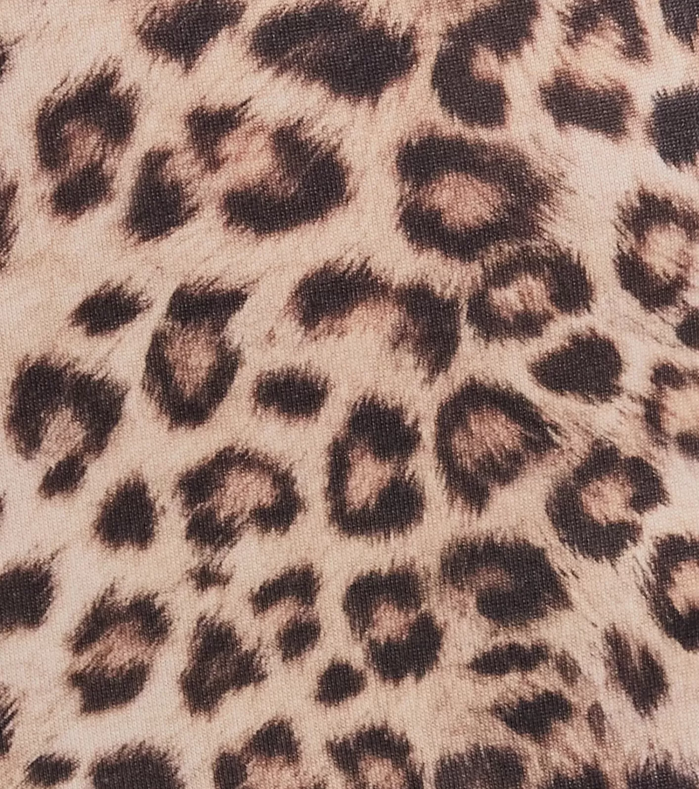 Windsor Walk On The Wild Side High Rise Flare Pants LEOPARD Outlet